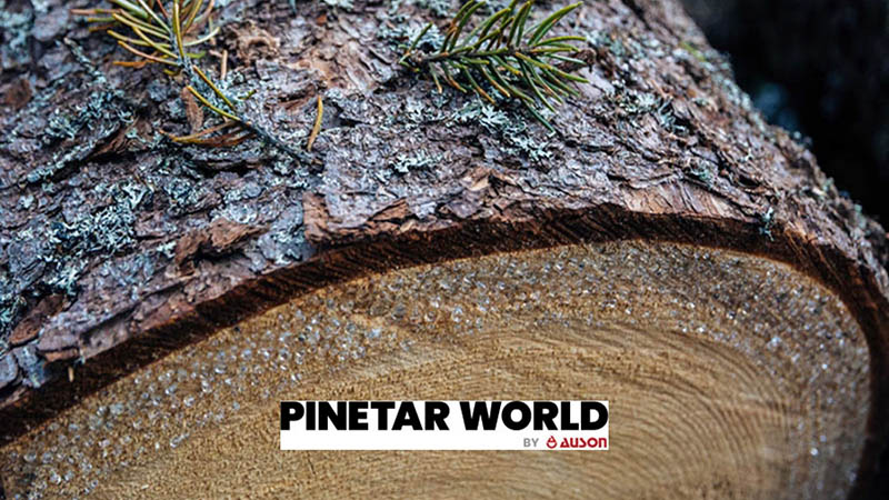 Pine Tar