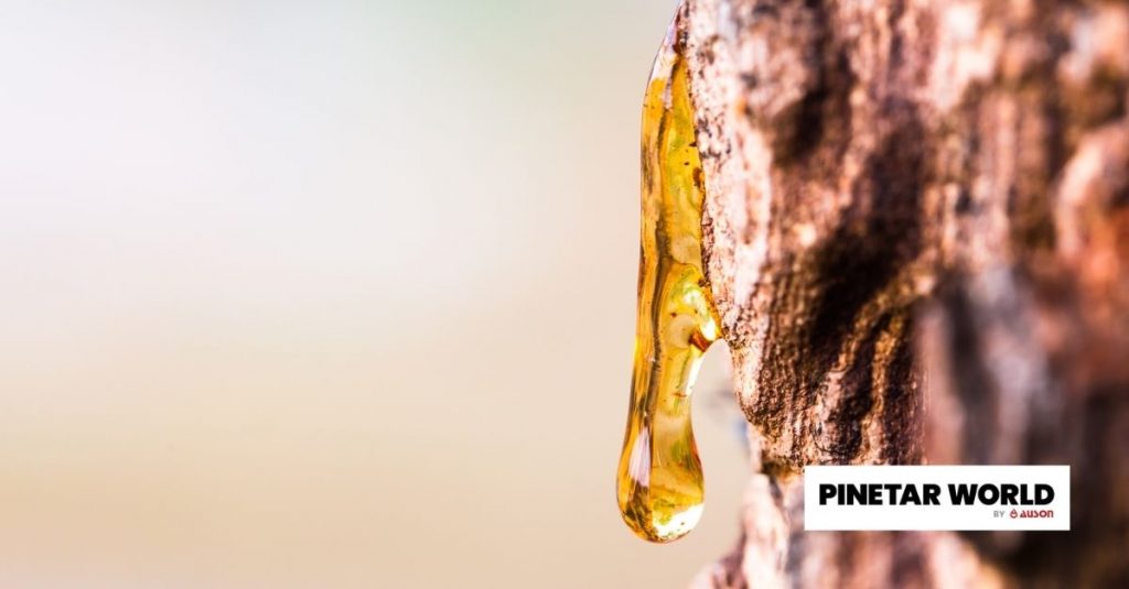 pine tar for sale