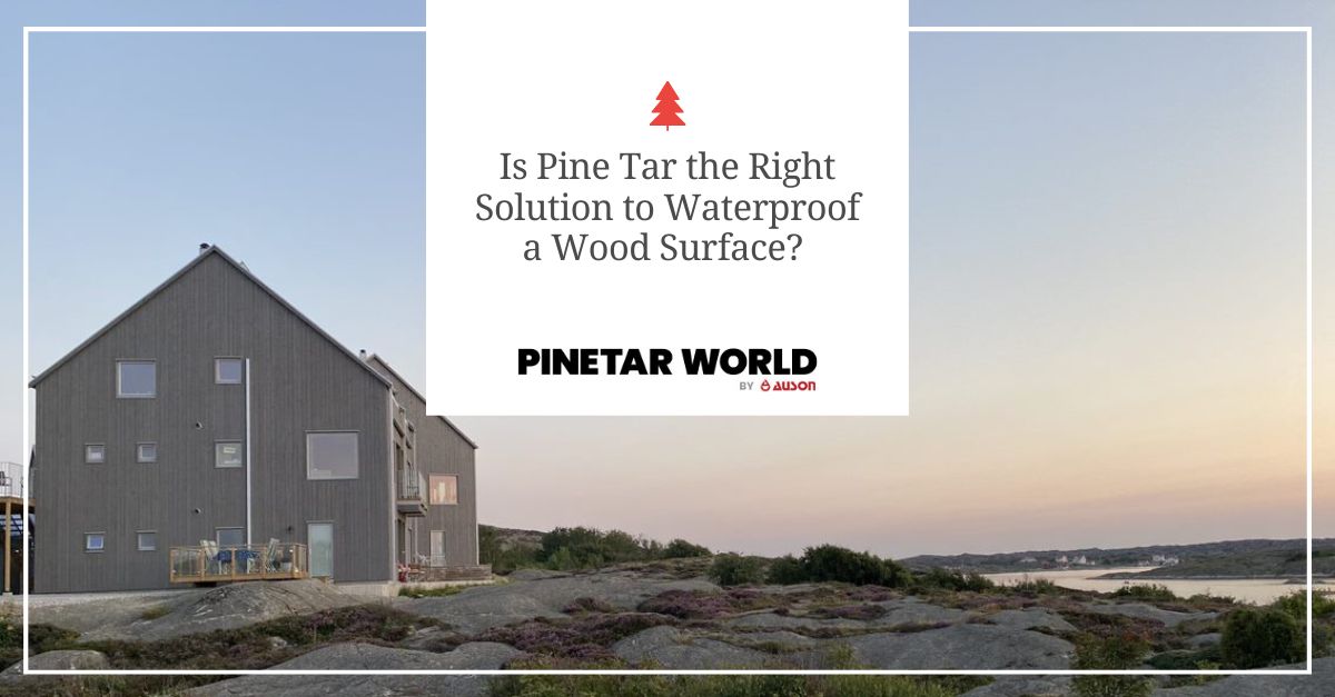 Pine Tar for Sale 